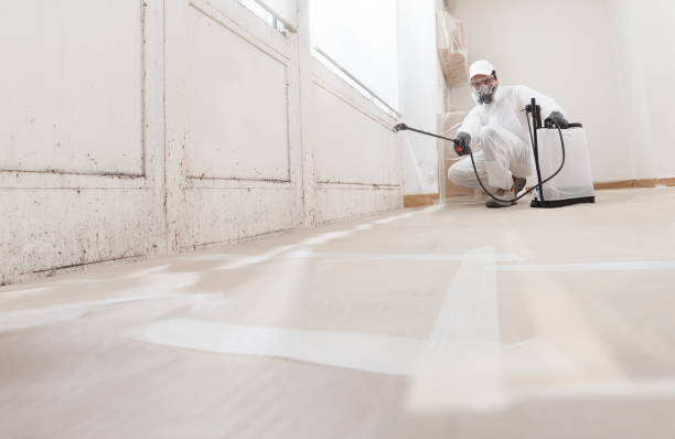 24/7 Emergency Mold Testing experts in Jamestown, TN